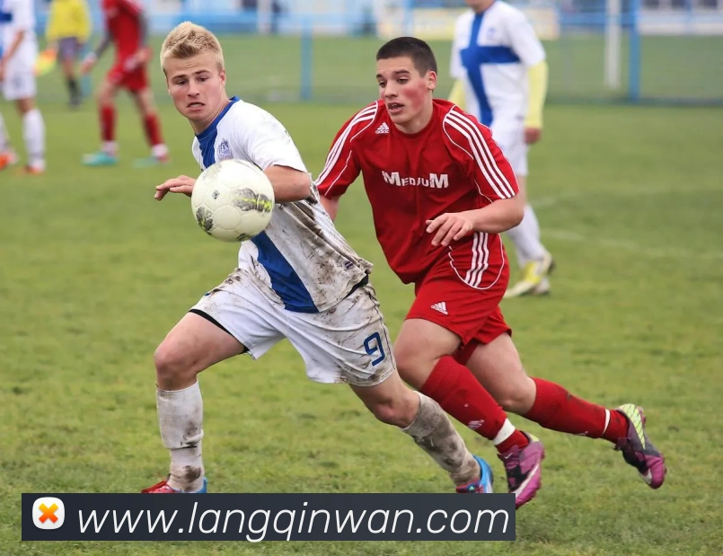 c7网站服务体系